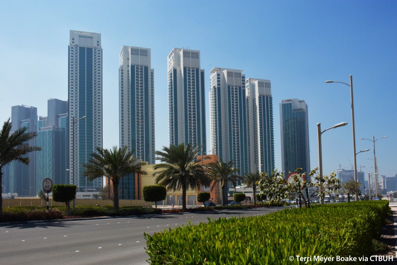 1 Bedroom Apartment For Sale in Al Reem Island